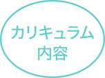 カリキュラム内容